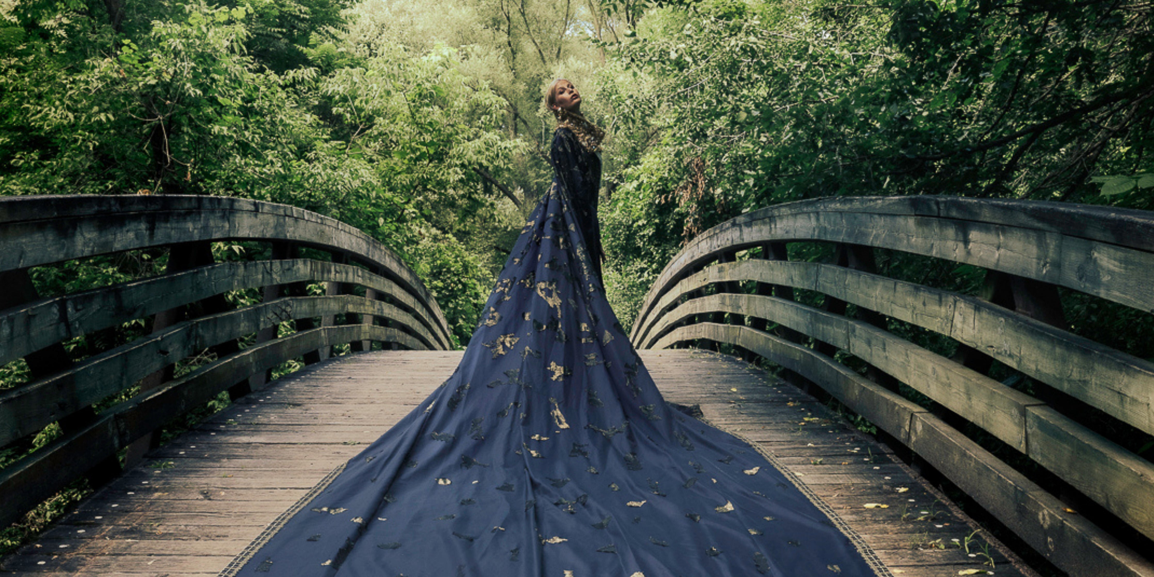 Starry Night - Loving Vincent