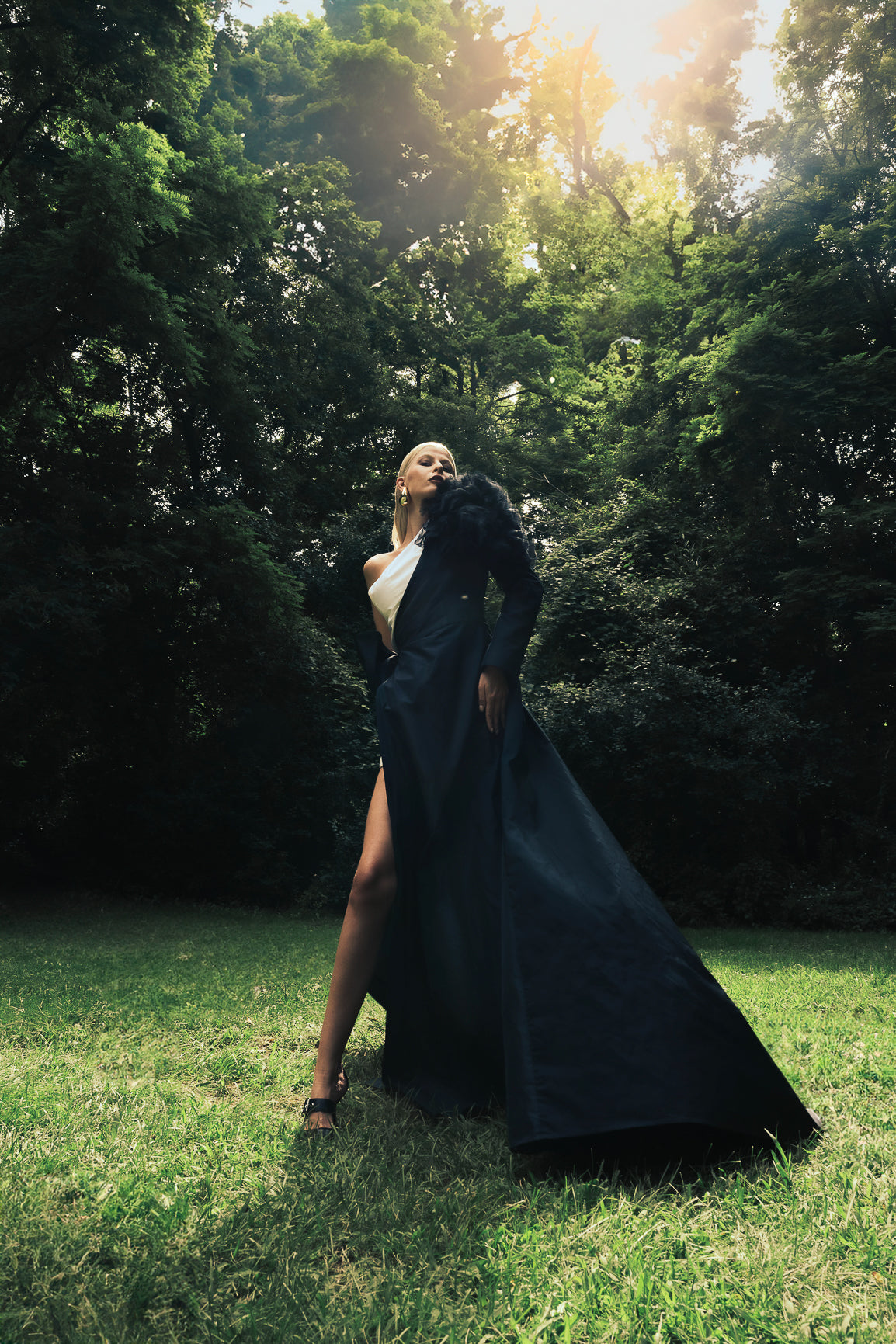 Celestial Noir Gown Celestial Noir Gown