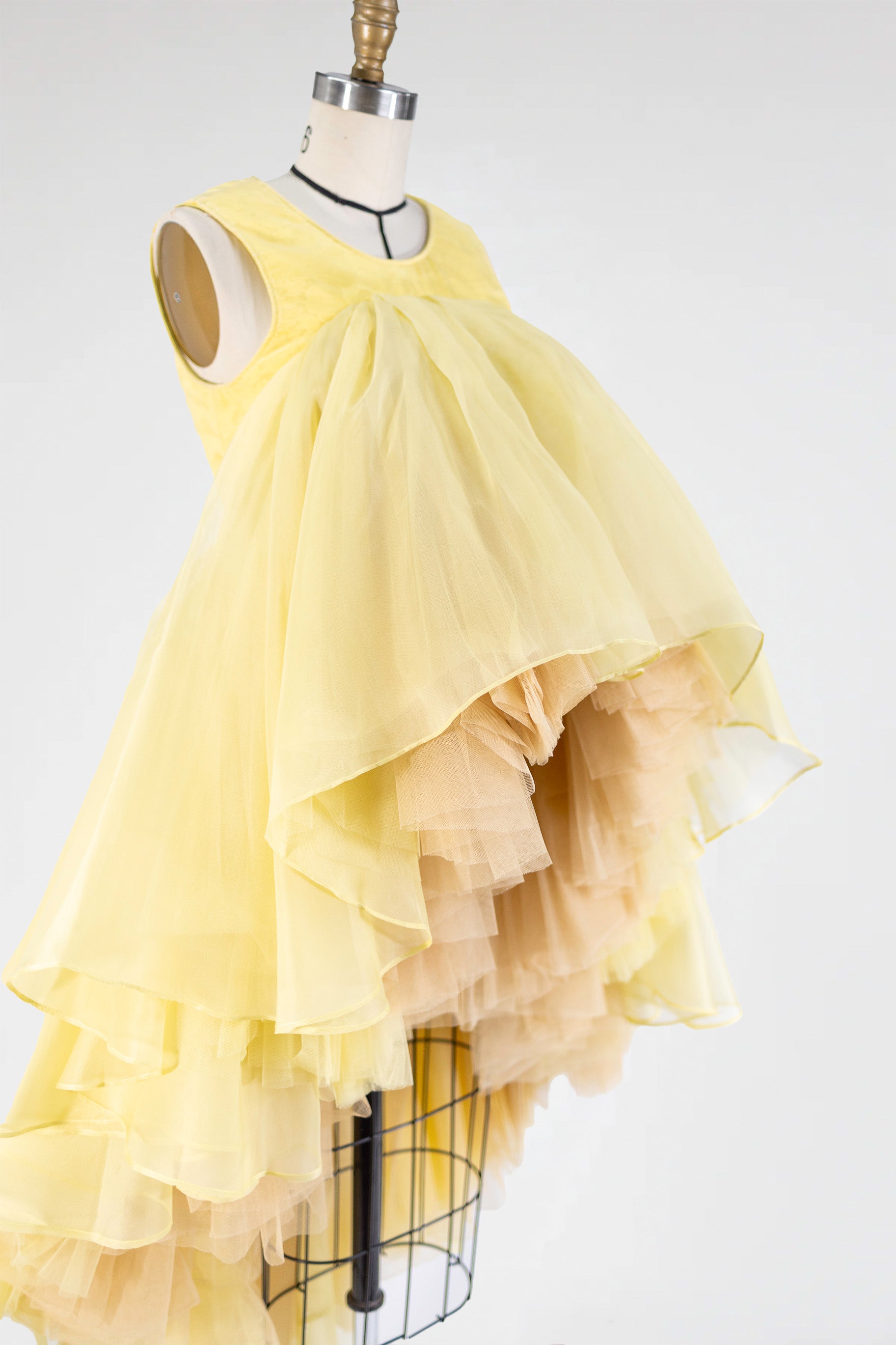 Sunlit Reverie Gown in Silk Organza and Tulle