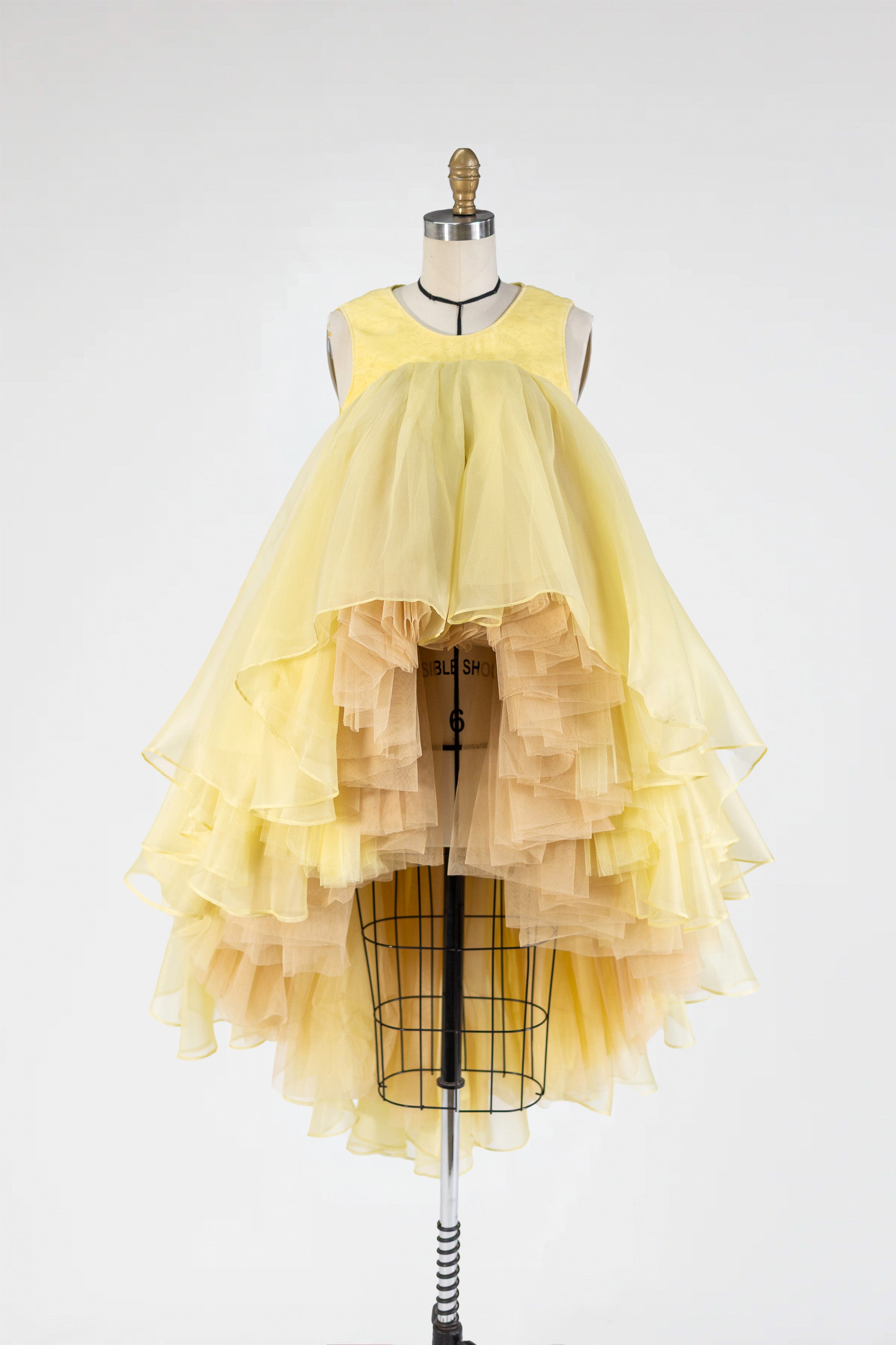 Sunlit Reverie Gown in Silk Organza and Tulle