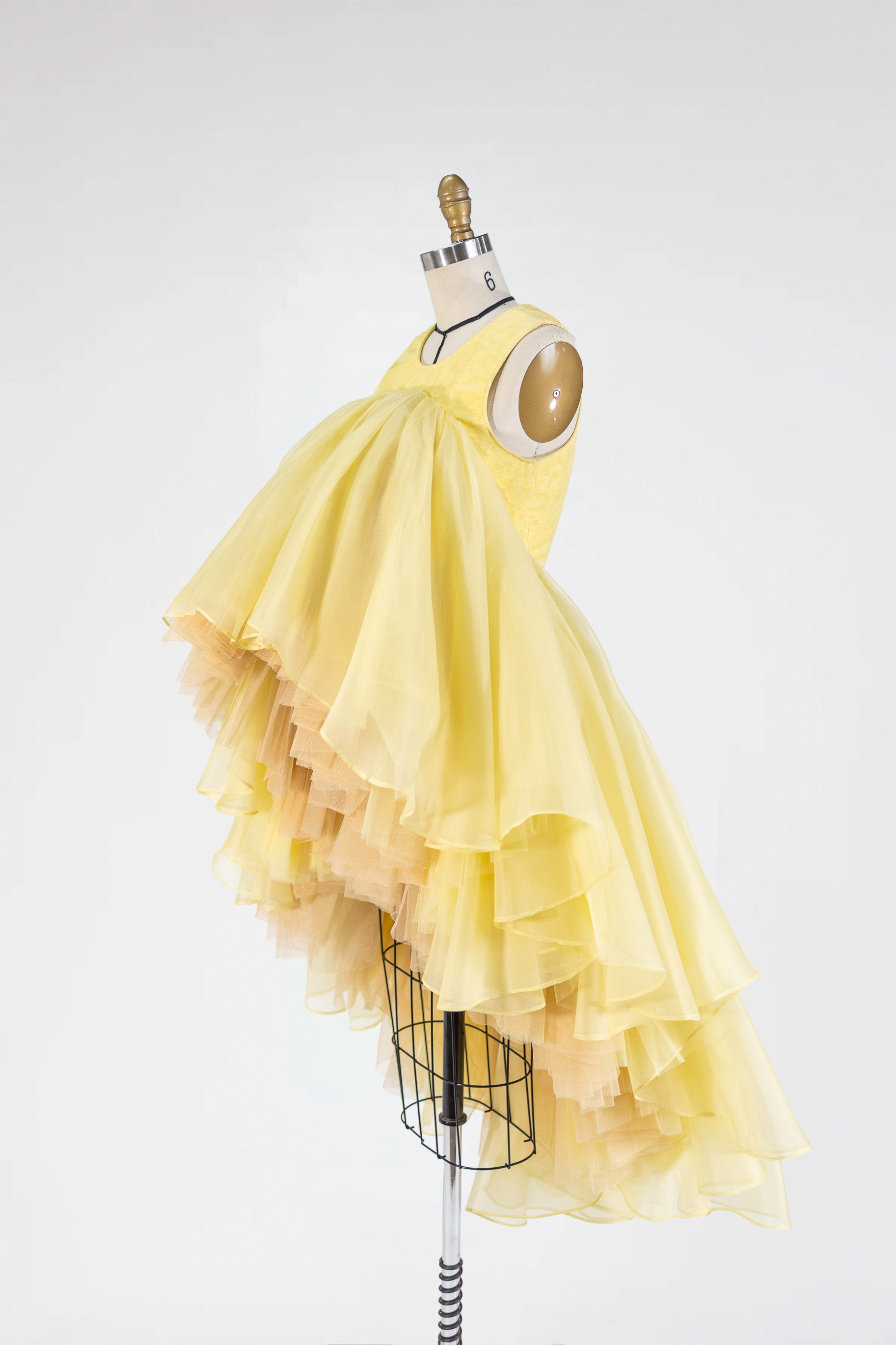Sunlit Reverie Gown in Silk Organza and Tulle