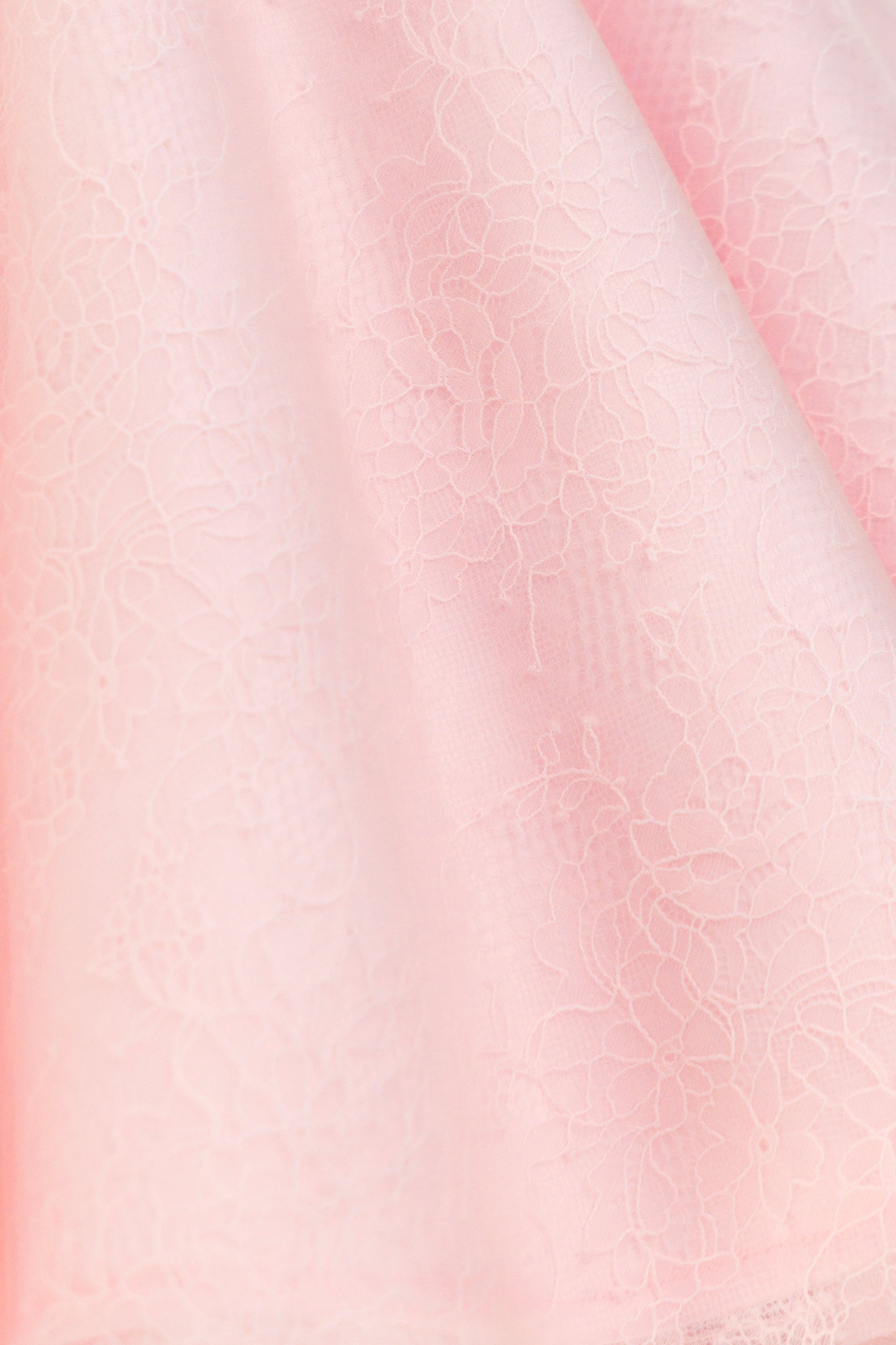 Blush Reverie Organza Gown